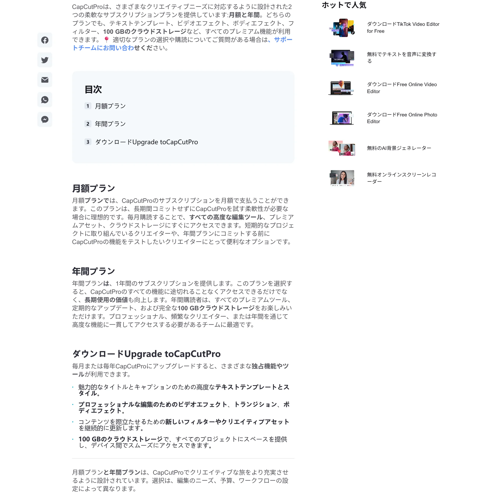 CapCut公式ヘルプ「月間または年間プランとは」月額プラン・年間プランの説明画面（CapCut公式サイト）